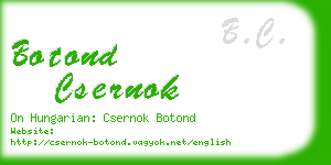 botond csernok business card